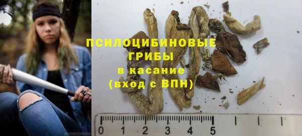 бутират Бугульма